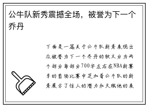 公牛队新秀震撼全场，被誉为下一个乔丹